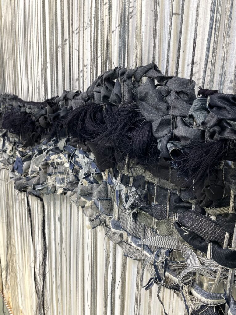 Denim Premiere Vision